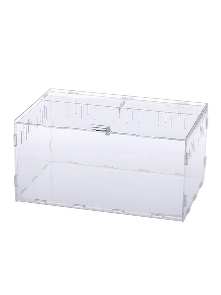 Terrarium acrylique d'araignées boîte d'alimentation | Reptile pour escalade, Terrarium d'animaux, serpent, araignée, Lizard, Scorpion, Centipede