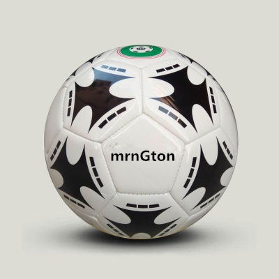 Professionelle Size5/4 Fußball Ball Premier Erwachsene YouthGoal Team Spiel Ball Fußball Training Nahtlose League Futbol Voetbal -41: W swallow Size 5