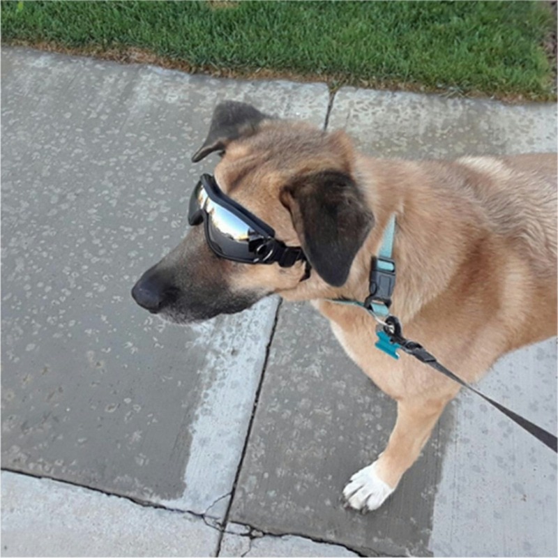 Cool Hond Zonnebril Uv-bescherming Winddicht Goggles Pet Eye Dragen Medium Grote Hond Zwemmen Schaatsen Bril Accessaries