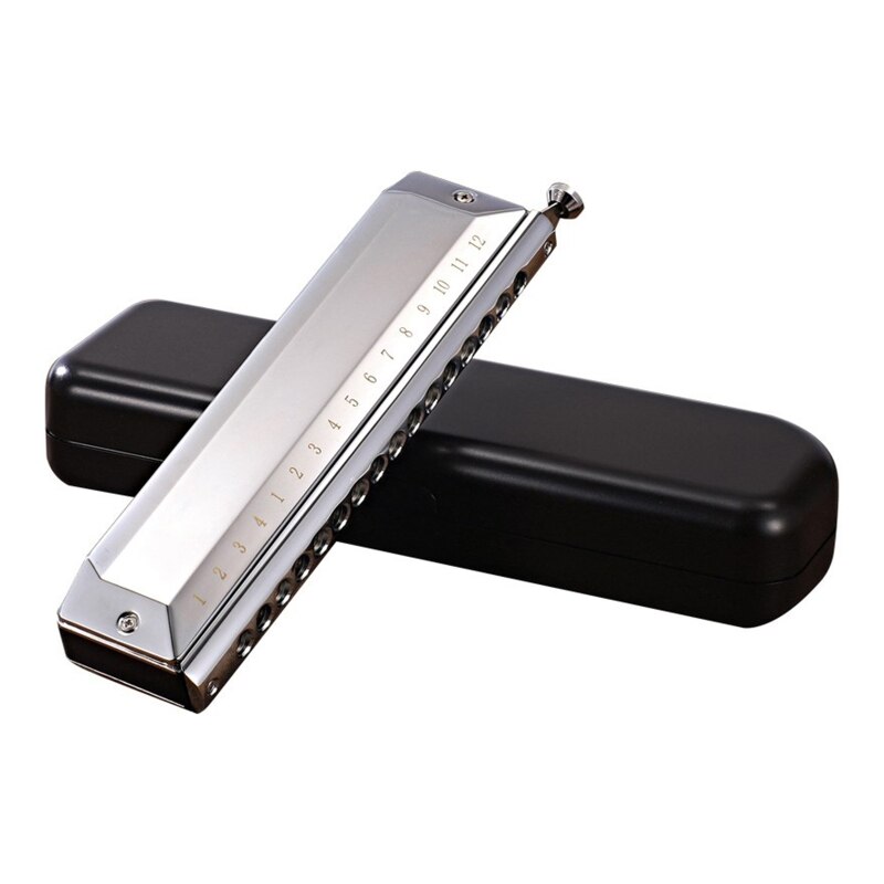 16 Holes Blues Harp Diatonic Harmonica 48 Tones Mouth Organ Harmonica For Adults: Silver