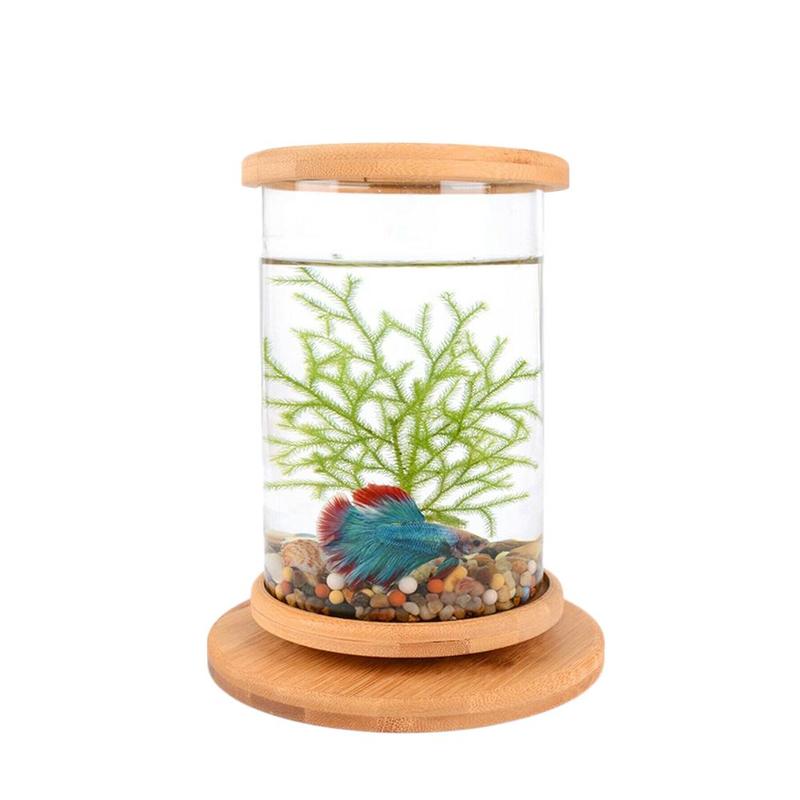 1 pièces en verre Betta Aquarium bambou Base Mini Aquarium décoration accessoires rotation décoration Aquarium accessoires