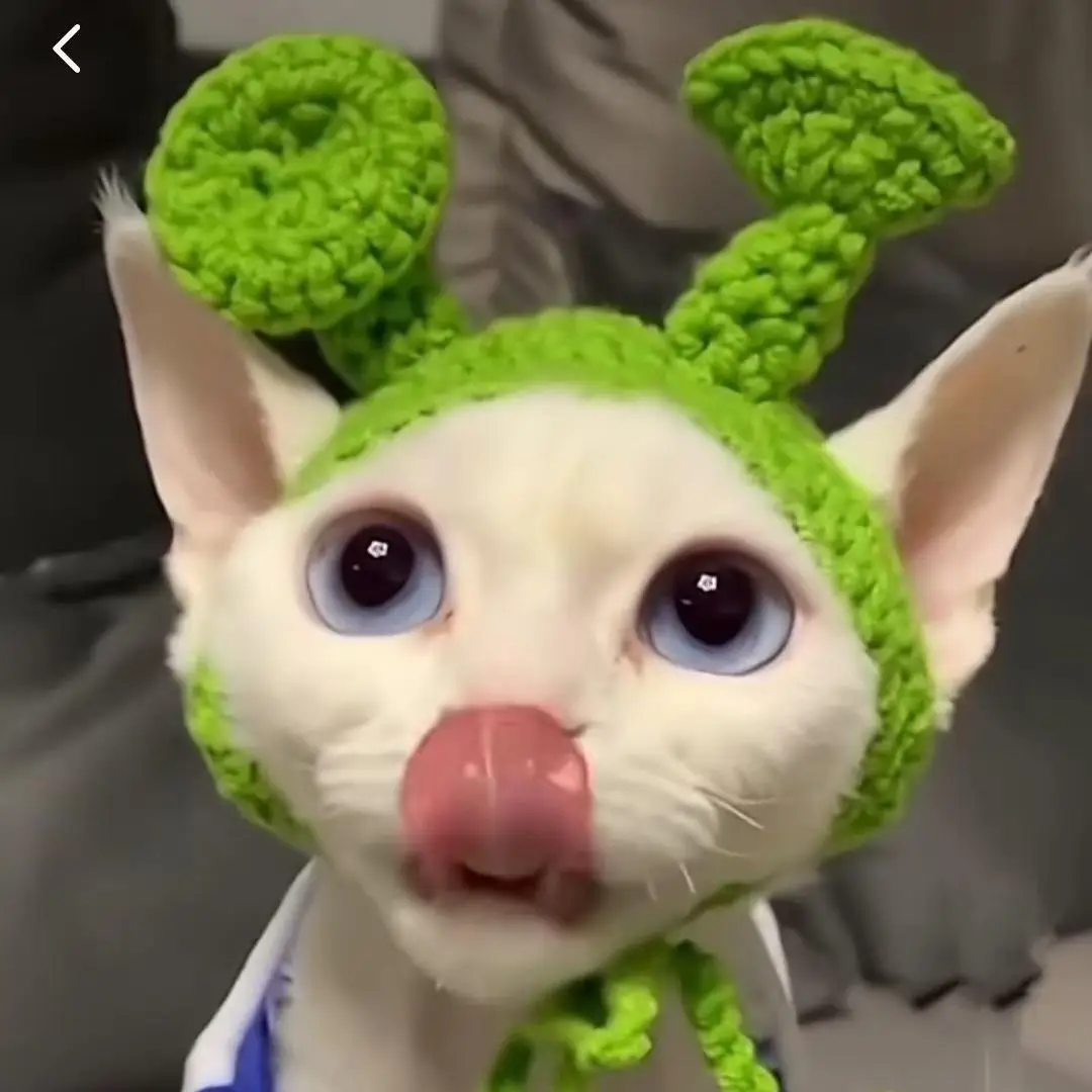 Gorro elástico bonito y refinado para mascotas, gorro de punto para cachorros y gatitos, accesorios para sesión de fotos, accesorios para gatos, otoño e invierno: M / Plata