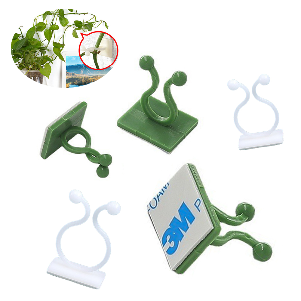 Clips de fixation murale pour plantes grimpantes, 10 pièces, crochets à boucle de vigne auto-adhésifs, fixateurs de pinces en rotin collants, dispositifs de fixation invisibles