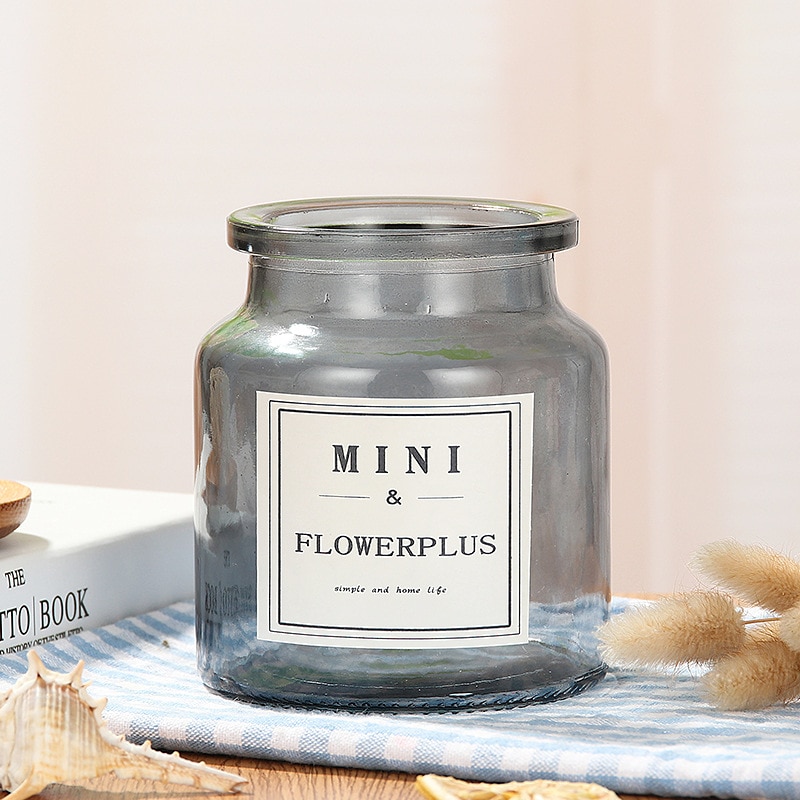 Nordisk vas mini hydroponic blommor grön dill blomma transparent glas torr vas delikat transparent vas: Grå