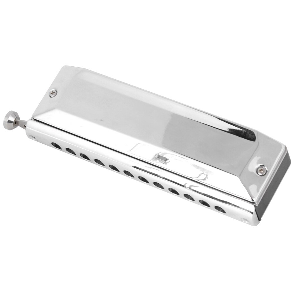 Chromatische Mondharmonica C Key Harmonica 12 Hole 48 Toon Harmonica Rvs Professionele Spelen Mond Orgel