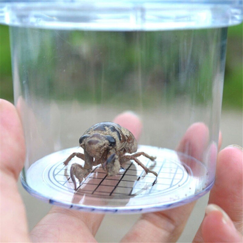 conjunto de herramientas de estudio de biología de insectos y plantas escolares para niños, pinzas de sujeción de tijera de plástico, bonito Kit de exploración de naturaleza para niños: 8.5x7.8x6.7cm