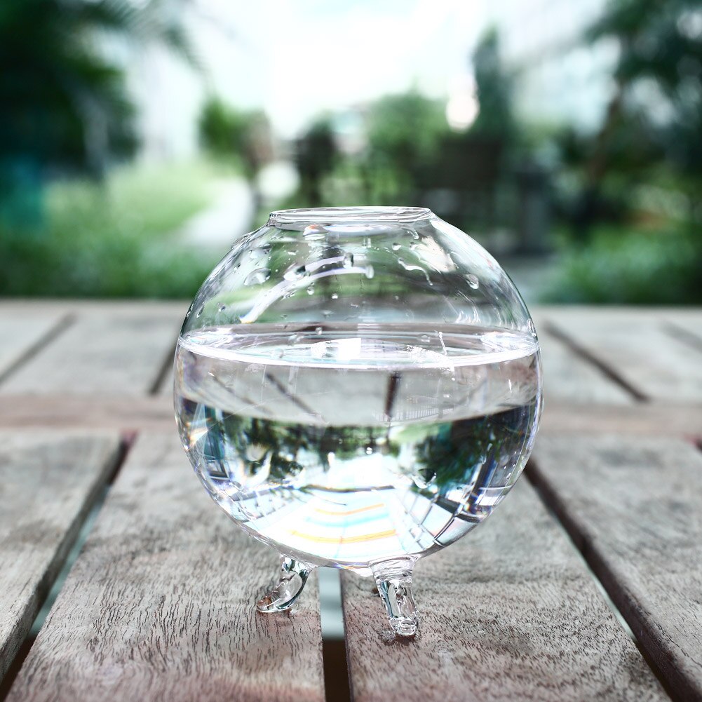 Vase en verre transparent Terrarium | Boule transparente, Pots de plantes, bouteille de réservoir mural, conteneur de fleur hydroponique, décor de jardin pour maison bricolage