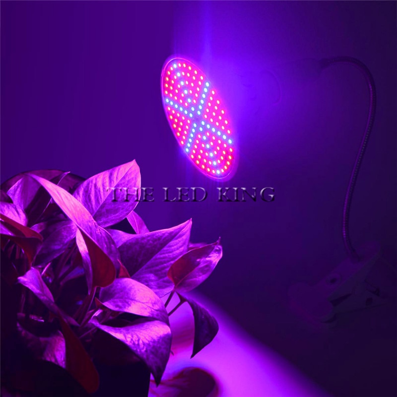 Led odlingslampa fullspektrumlampor för växtblommor  e24 e14 gu10 mr16 b22 220v 48 lysdioder 60 lysdioder 80 lysdioder fytoväxtlampor