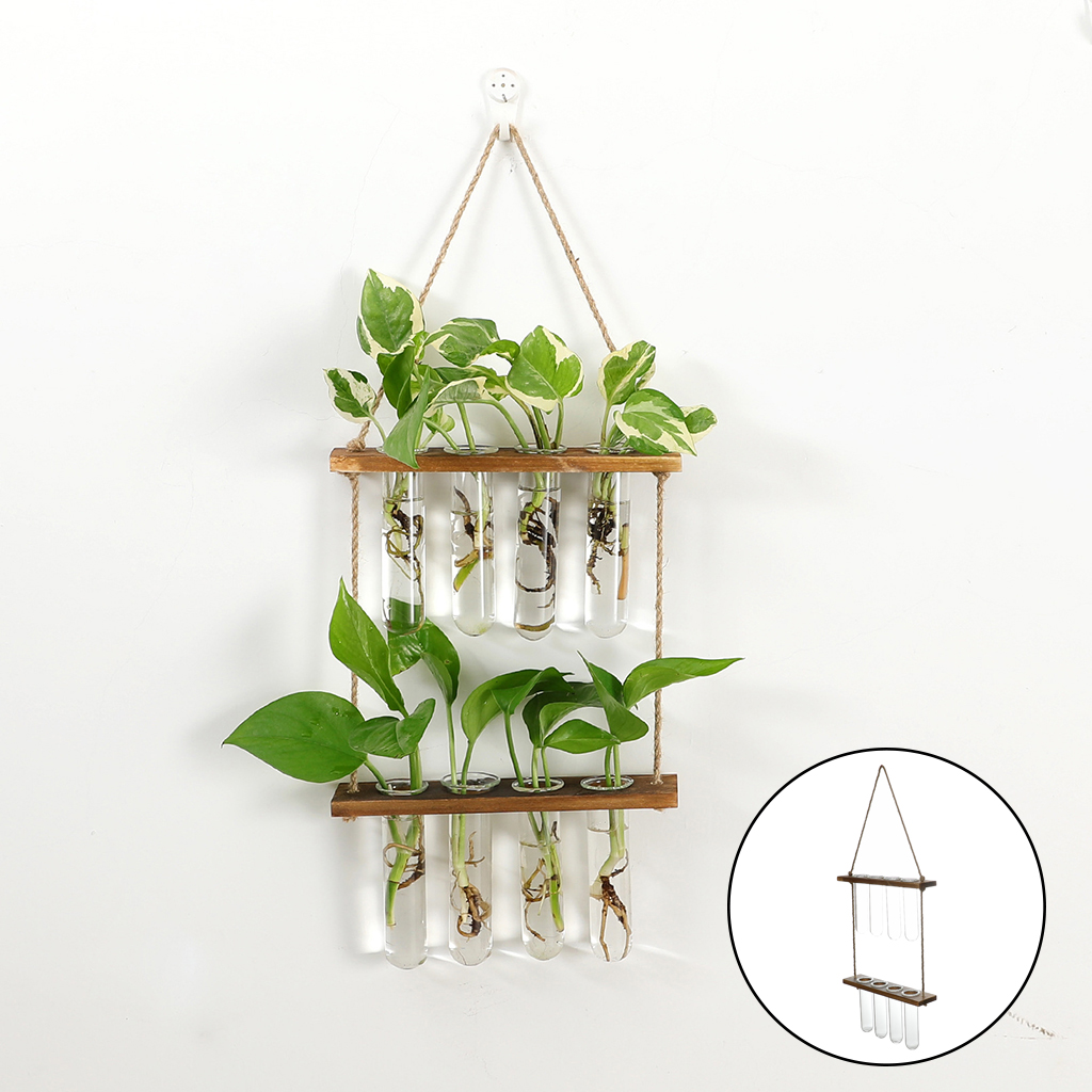 Terrario colgante de pared, plantador de flores, propagador para cortar, decoración de jardín