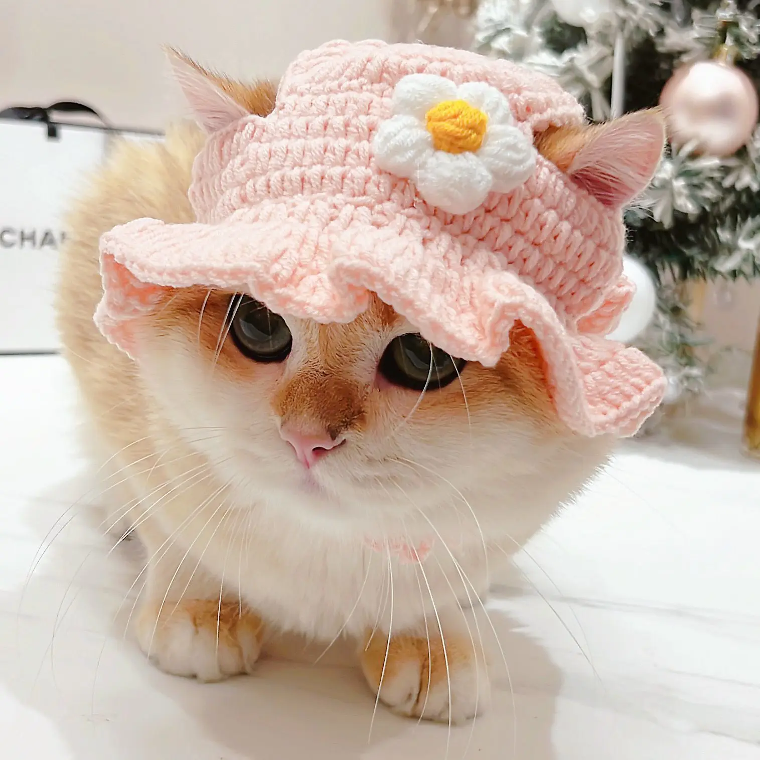 Outono inverno gato chapéu elástico bonito refinado chapéu para animais de estimação filhote de cachorro gatinhos chapéu de malha festa sessão de fotos adereços decoração acessórios para gatos: CINZA