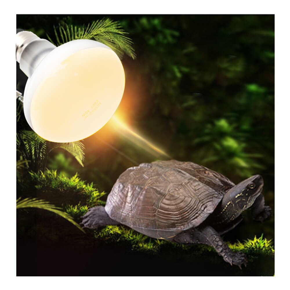 Basking Spot Heat Lamp Reptile Turtle Waterproof Heating Habitat Light Warmer 25/40/50/60/75/100W 220V UVA Light Bulbs #15