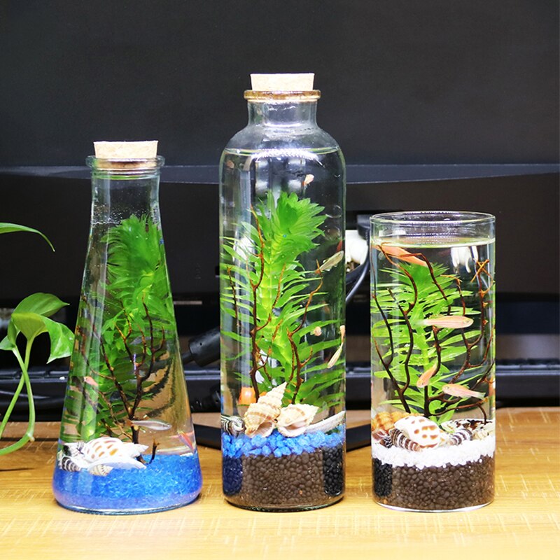 Mini Glass Fish Tank Betta Fish Tank Aquarium Fish Tank Micro Landscape Ecological Bottle Empty Bottle DIY Aquarium Accessories