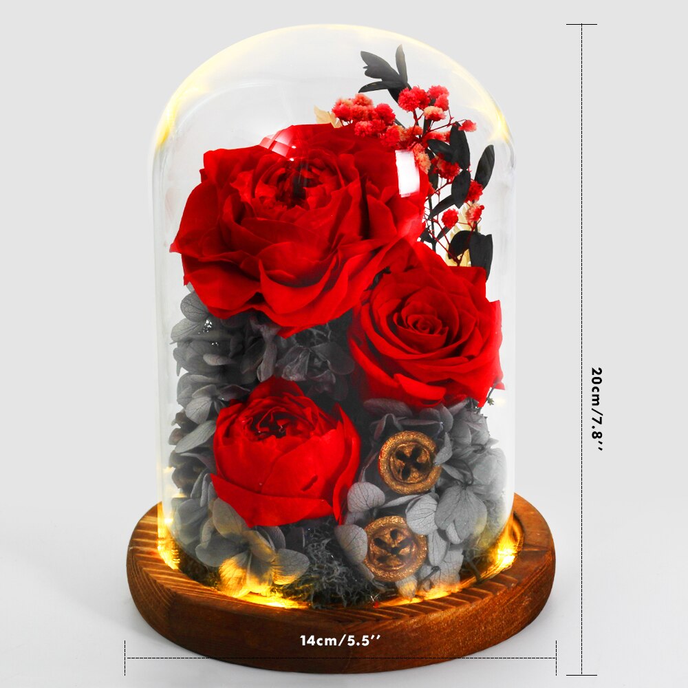 Beauty And The Beast Immortal Flower Rose In Glass Inside Wedding Decoration Flower Christmas Mother's Day Birthday