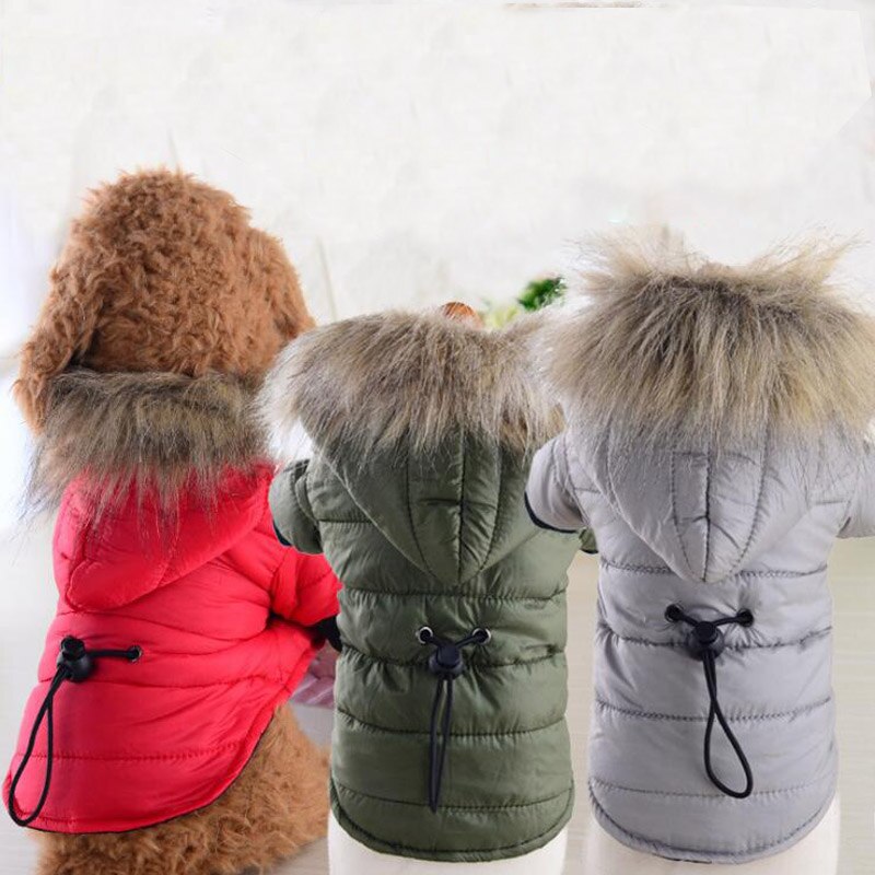 Winterkleding voor honden, warme puppy-hoodie met bontkraag, kleding voor kleine en grote honden, chihuahua, teddybeerkostuum voor katten, maat xs, s, m, xl