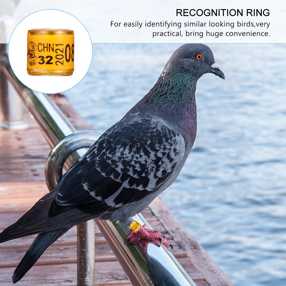 100pcs Numbered Pigeon Leg Rings Bird Identification Bands Poultry Leg Band