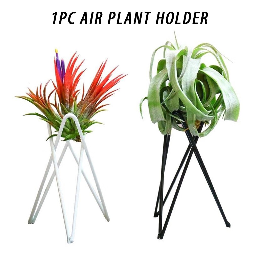 Blomsterpotter stå innendørs utendørs utstilling tillandsia bord jern kunst nordisk stil hagepynt luft planteholder kontor