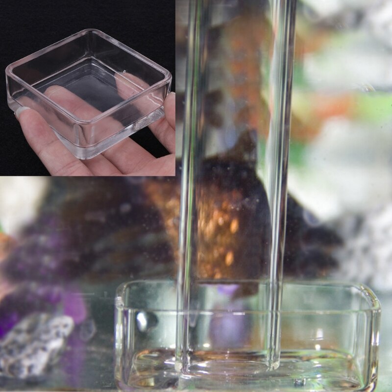 Acryl Aquarium Garnalen Voeden Voedsel Schotel Lad... – Grandado
