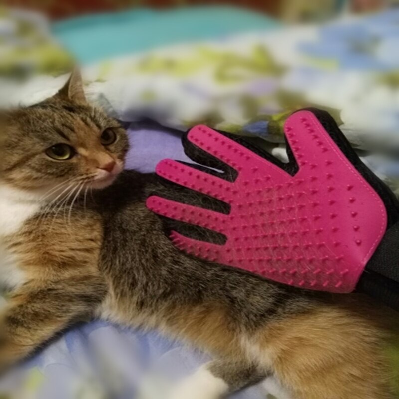Haustier Katze Handschuh Für Ebene Kamm Katze Pflege Versorgung Reinigung Handschuh Deshedding Rechts Hand Haar Entfernung Pinsel Handschuh