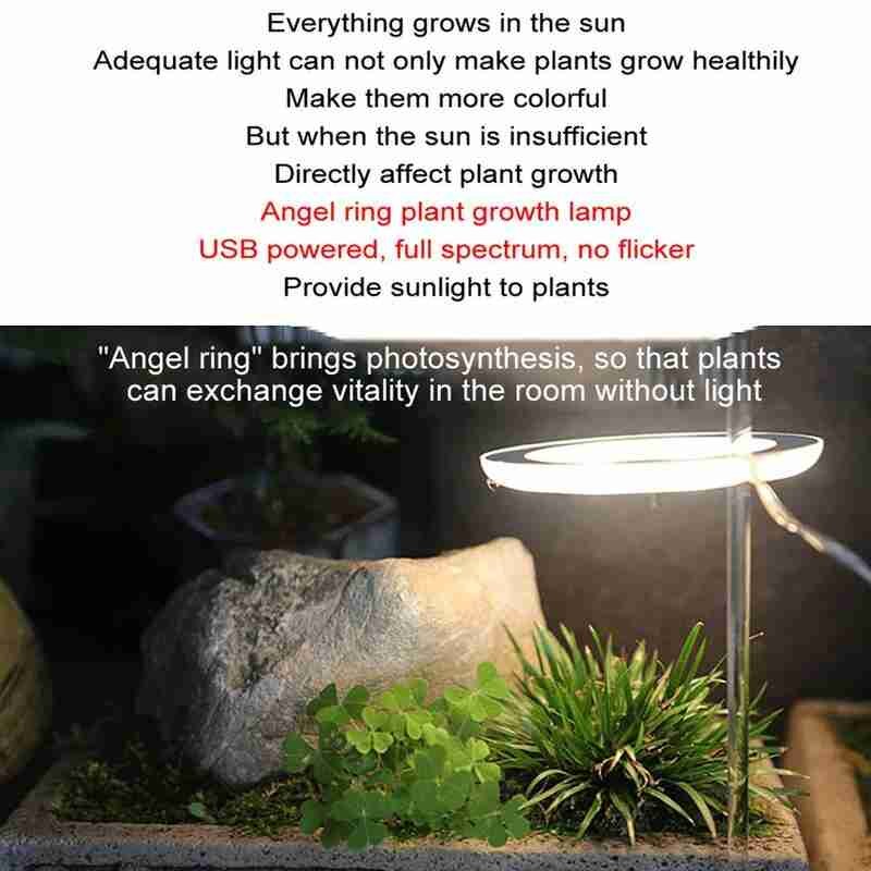 Led Grow Light Volledige Spectrum Phyto Groeien Lamp Usb Phytolamp Voor Planten Voor Planten Lamp 5V Voor Binnenverlichting plantengroei S3F5