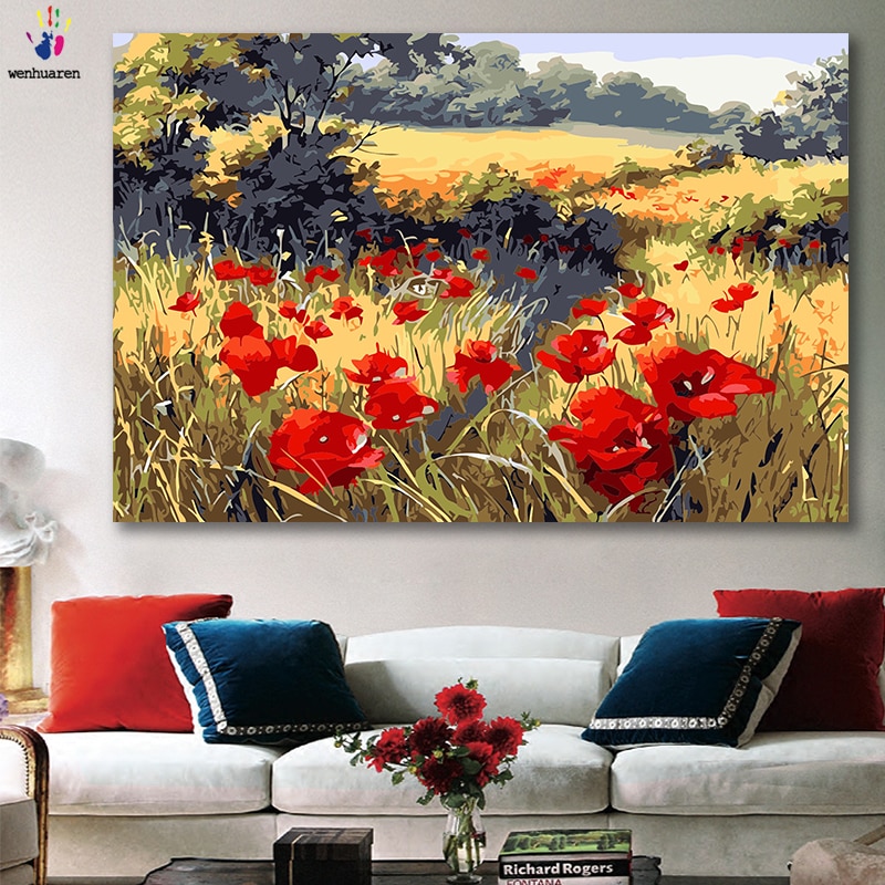 Gjør-det-selv-farger bilder etter tall med farger rød valmue blomst felt bilde tegning maleri etter tall innrammet hjem