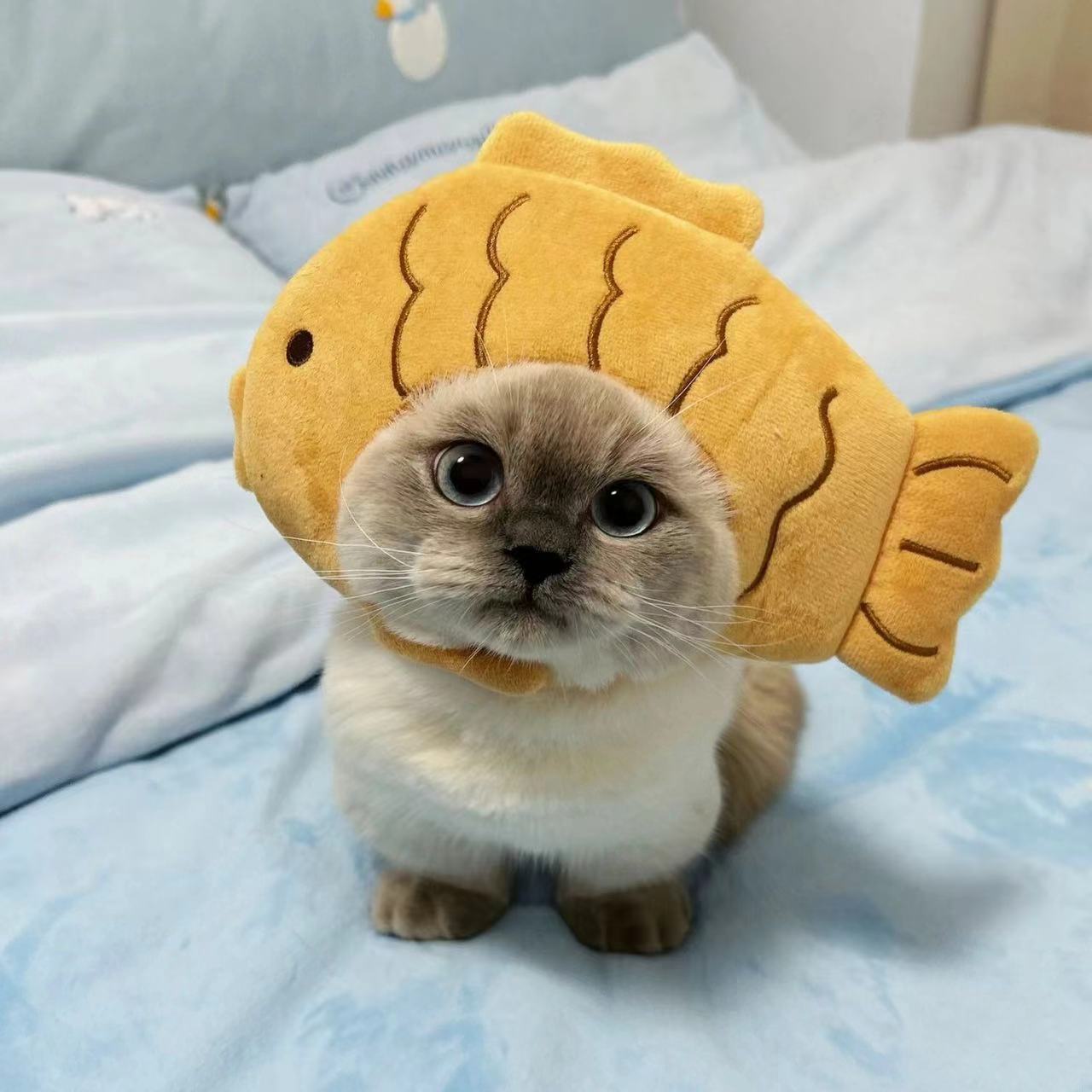 Gorro de gato refinado bonito, gorro elástico de felpa para invierno para mascotas, gorro tejido para cachorros y gatitos, accesorios de decoración para y Cosplay, accesorios para gatos para mascotas: Amarillo