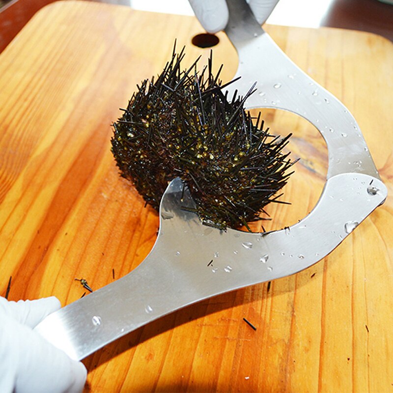 1Pc Zee-egel Opener Schaar Echinus Tang Kastanje Open Cutter Professionele