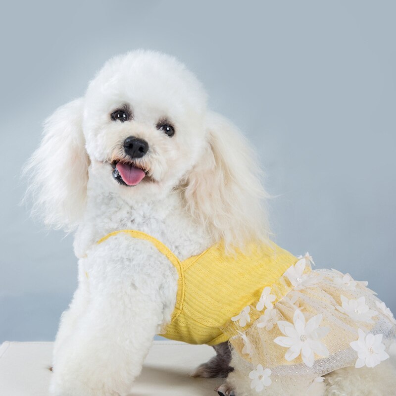 Vestidos de princesa para perro y niña pequeña, falda con tirantes para mascotas, tutú fino de lujo con encaje de flores para cachorros y gatos, Primavera/Verano