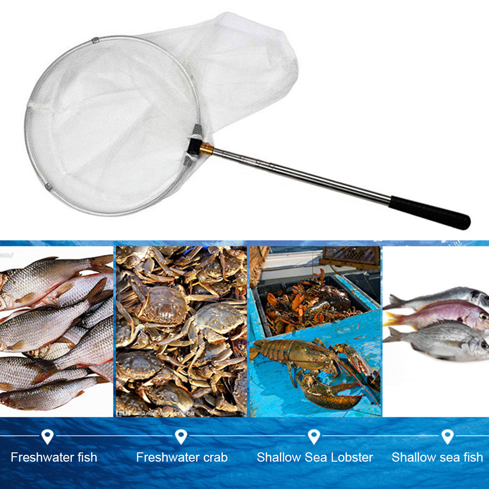 Opvouwbare Visnet Rvs Telescopische Insect Vlinder Dragonfly Netten Kikkervisje Vis Netwerk Outdoor Fun Speelgoed