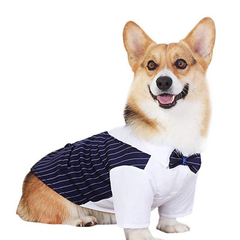 Costume de mariage pour chien et chat, chemise formelle avec nœud papillon, tenue de printemps et d'été pour animal de compagnie