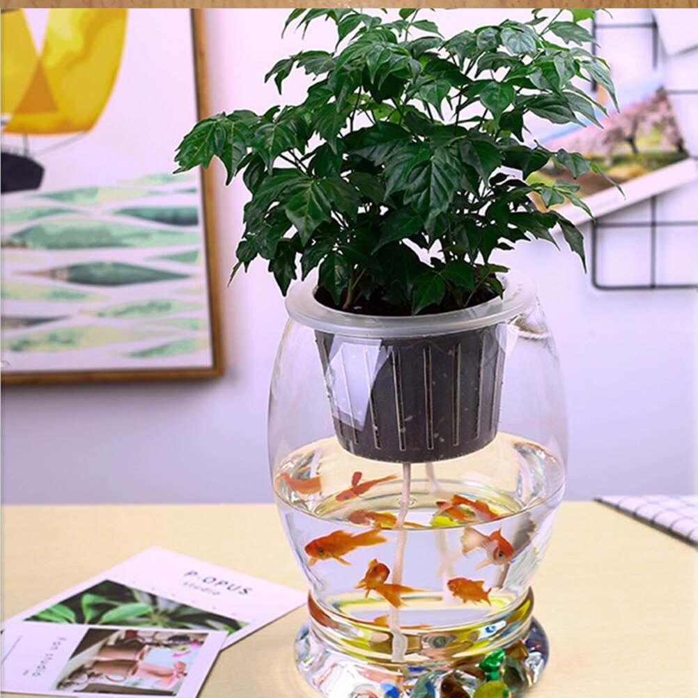 gorący 4/5/6/8mm 10/20m roślina doniczkowa liny chłonne bawełna hydroponicznych liny sadzenia hydroponika dostaw dla domu ogród