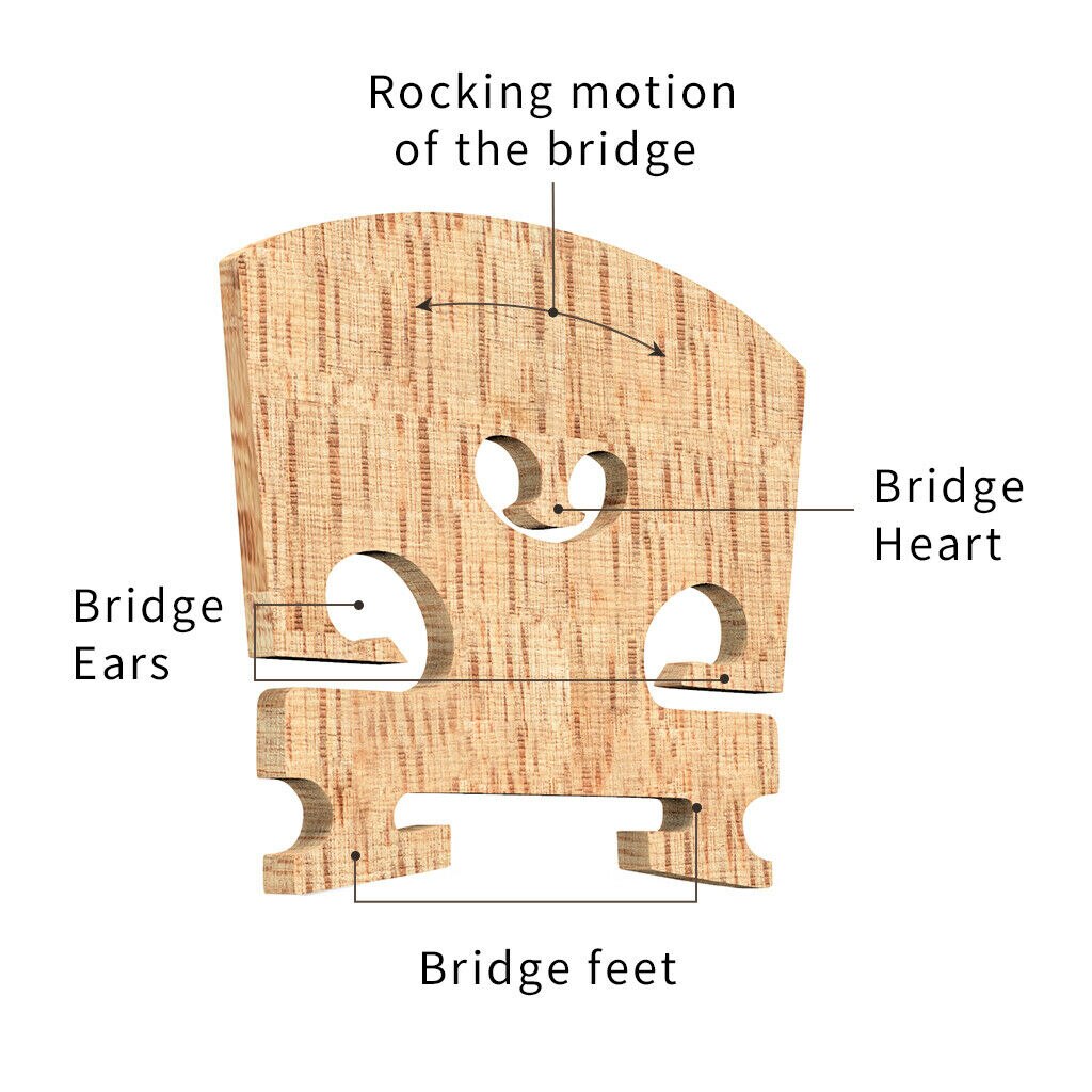 AA Grade Maple Wood Viola Bridge Selected Maple Wood Bridge For 15'' 16'' Viola Use