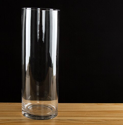 Simplicity Transparent Clear Tabletop Tall Glass Vase Bottle Terrarium Hydroponic Container Pot Flower Home Wedding Decor: 30x12cm