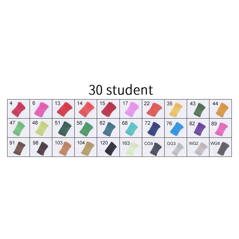 TOUCHNEW T8 30/40/60/80/168 Colors Markers Manga Drawing Markers Pen Alcohol Based Sketch Felt-Tip Twin Brush Pen Art Supplies: 30 STUDENT