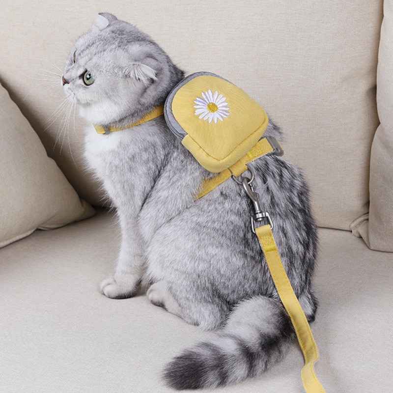 Pet Cat Backpack with Harness leash Backpack for Small Dog multifunction Self Carrier Cats Dogs Backpack Bag