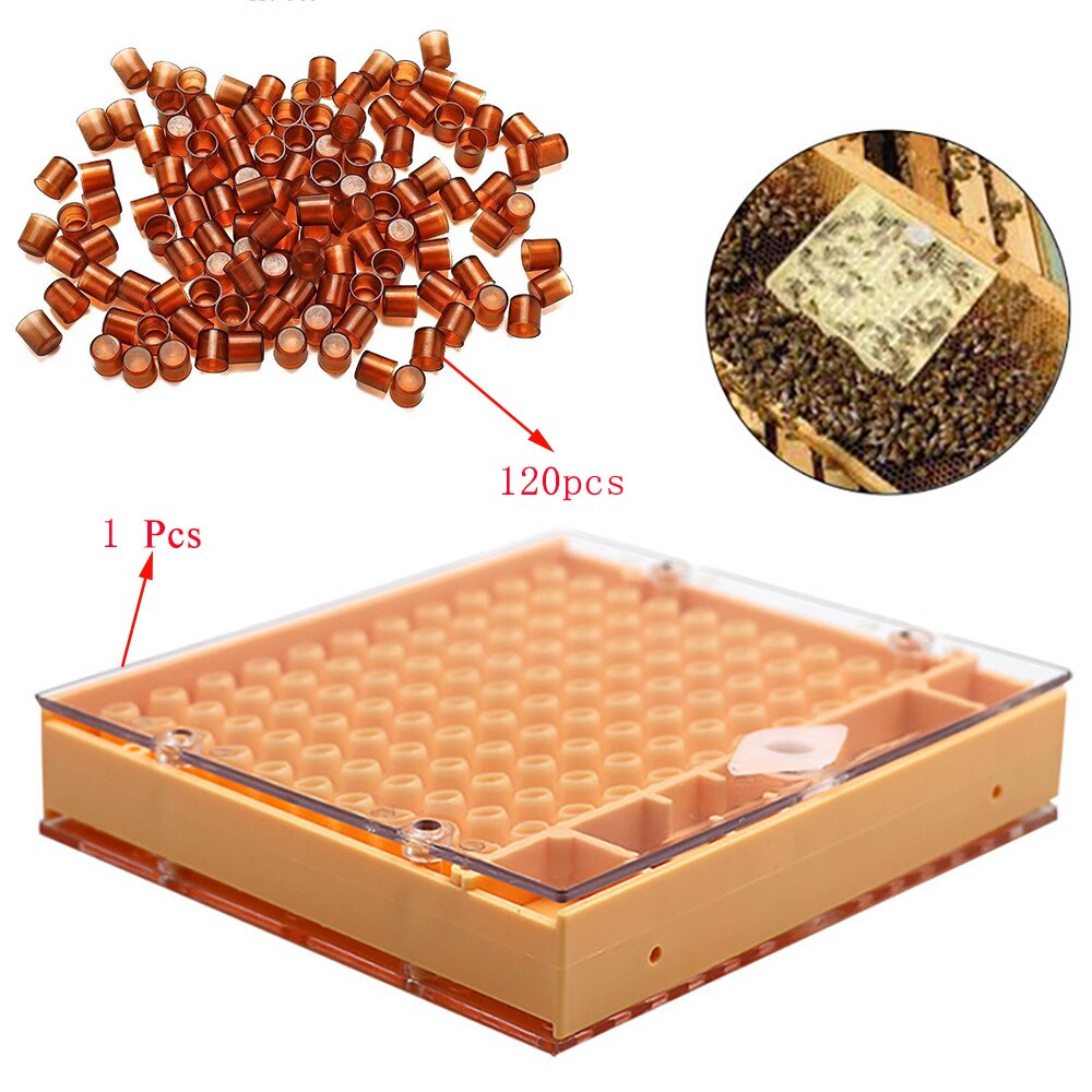 Beekeeping Queen Rearing Cell Cup Kit Equipment Apiculture System Bee Keeper Cultivate Queen-bee Set King Tools Supplier Cells: Default Title