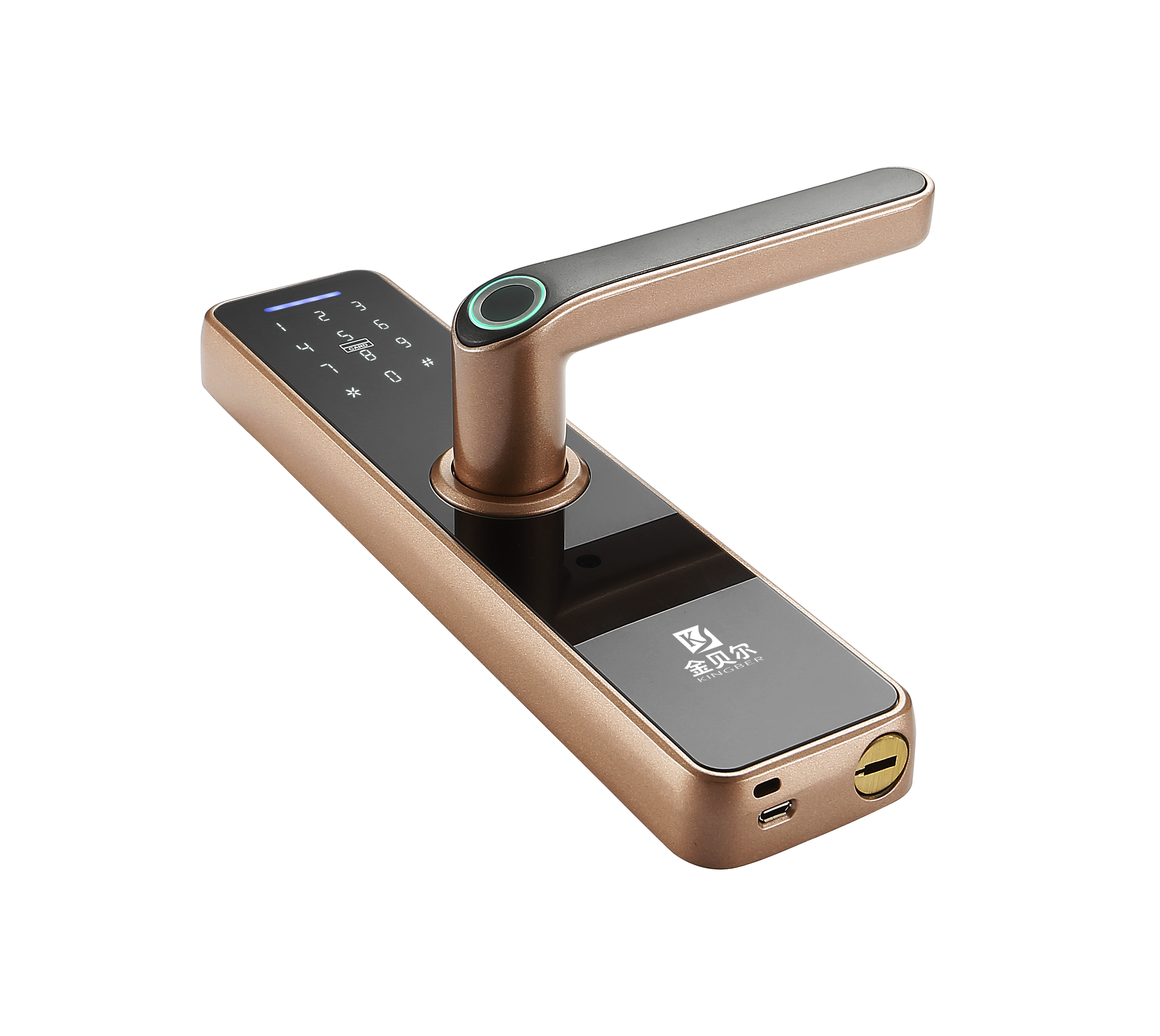 Tuya wifi tt bluetooth app biometrisk fingeraftryk rfid smart digital dørlås