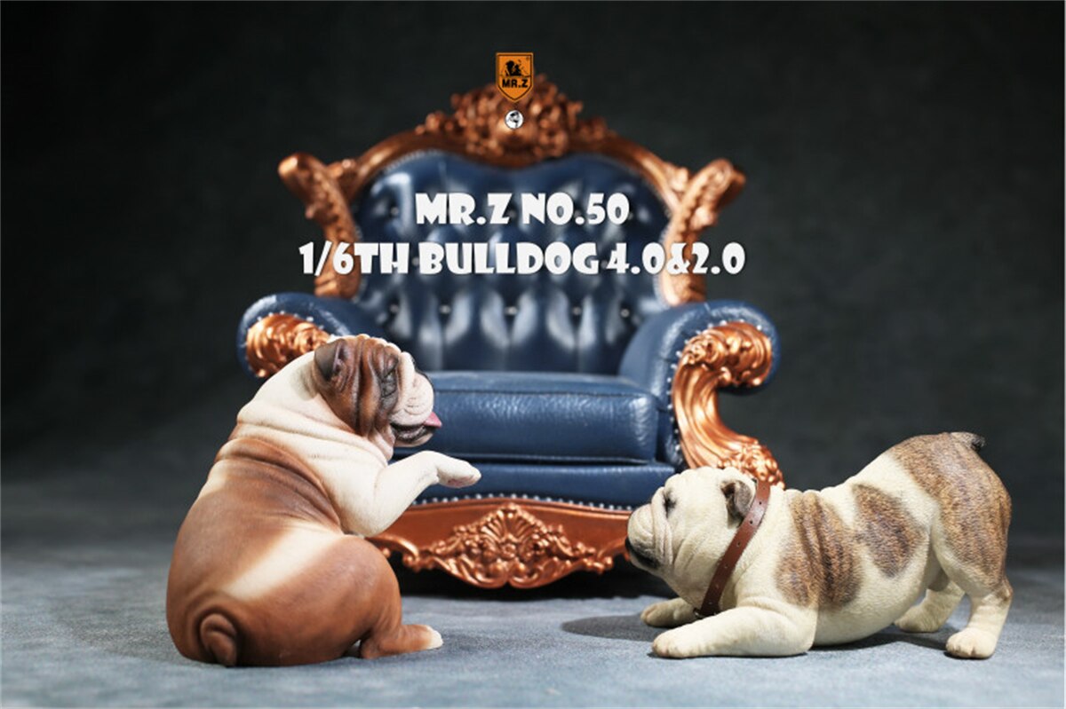 Mr.Z Studio 1:6 British Bulldog V4.0 Dog Pet Healing Figure Canidae Animal Model Toy Collector Desktop Decor Adult Unisex