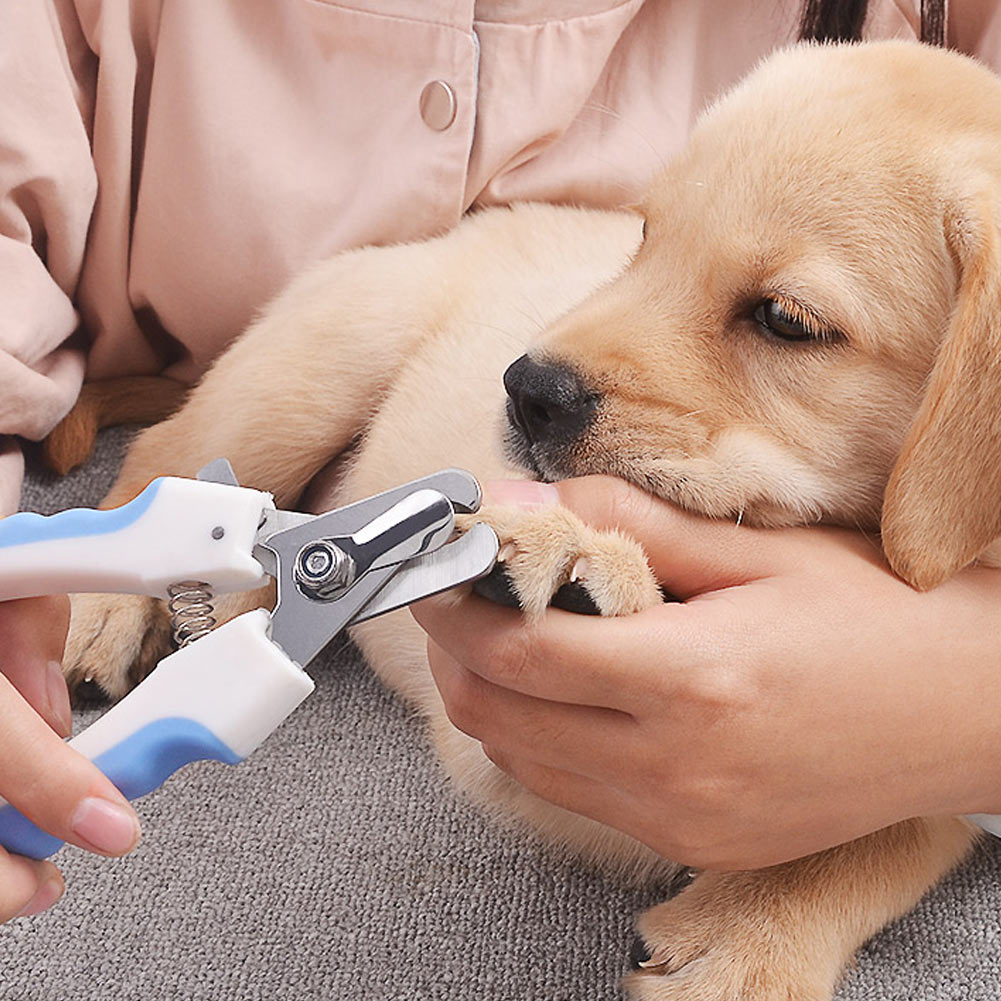 Pet Hond Kat Rvs Claw Nagelknipper Cutter Bestand Schaar Honden Teen Care Trimmer Nagels Huisdieren Grooming Supplies LXY9