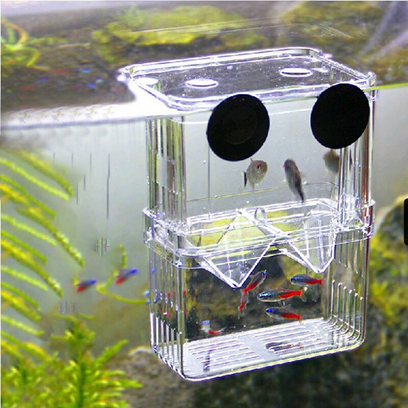 Paralume Per Lampada UV Acquario - Schermo Protettivo Per Pesci - Foto 4