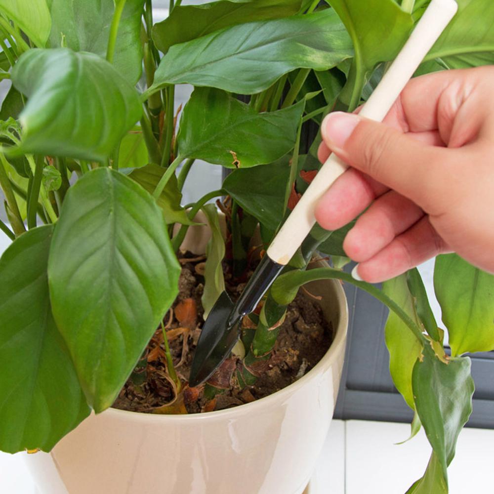 3 unids/set Mini pala Harrow maceta herramientas de plantas en macetas de mango de madera suelos palas herramientas de jardinería