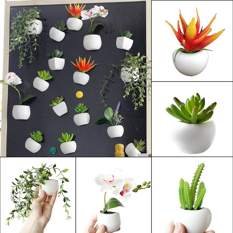 1Pc Magneten Leuke Cactus Vetplant Magneet Knop Cactus Koelkast Bericht Sticker Home Decor