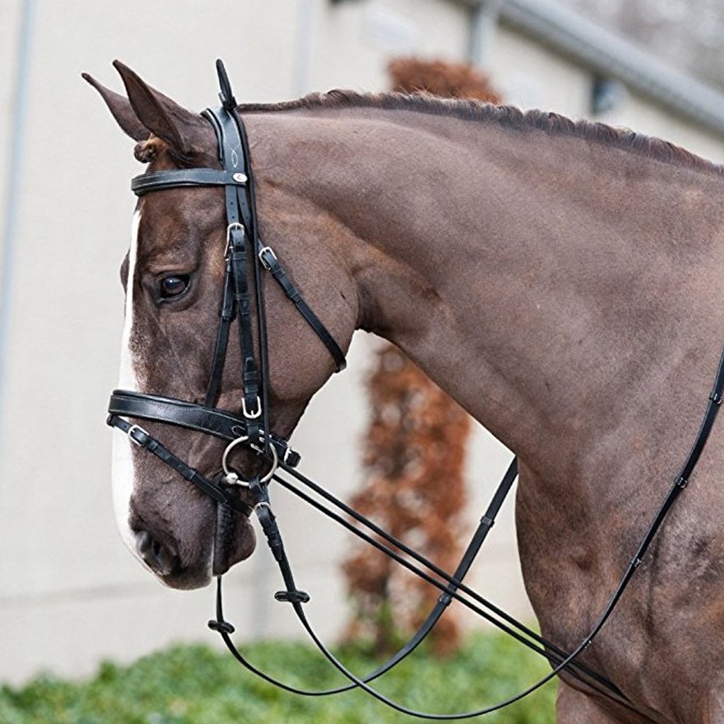 Black Horse Neck Stretcher Horse Training Grooming Tool Equestrian Supplies Adjustable 3 Meters