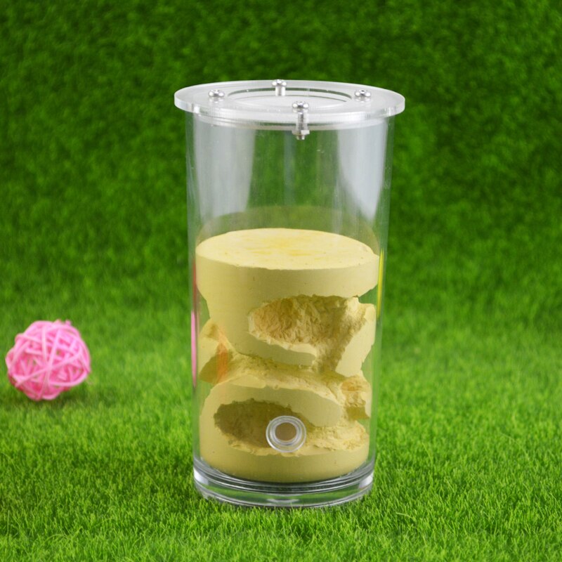 Cilindrische Acryl Mieren Farm & Mieren Nest Cup Gips Mieren-Huis Voor Living Huisdier Mieren: Yellow