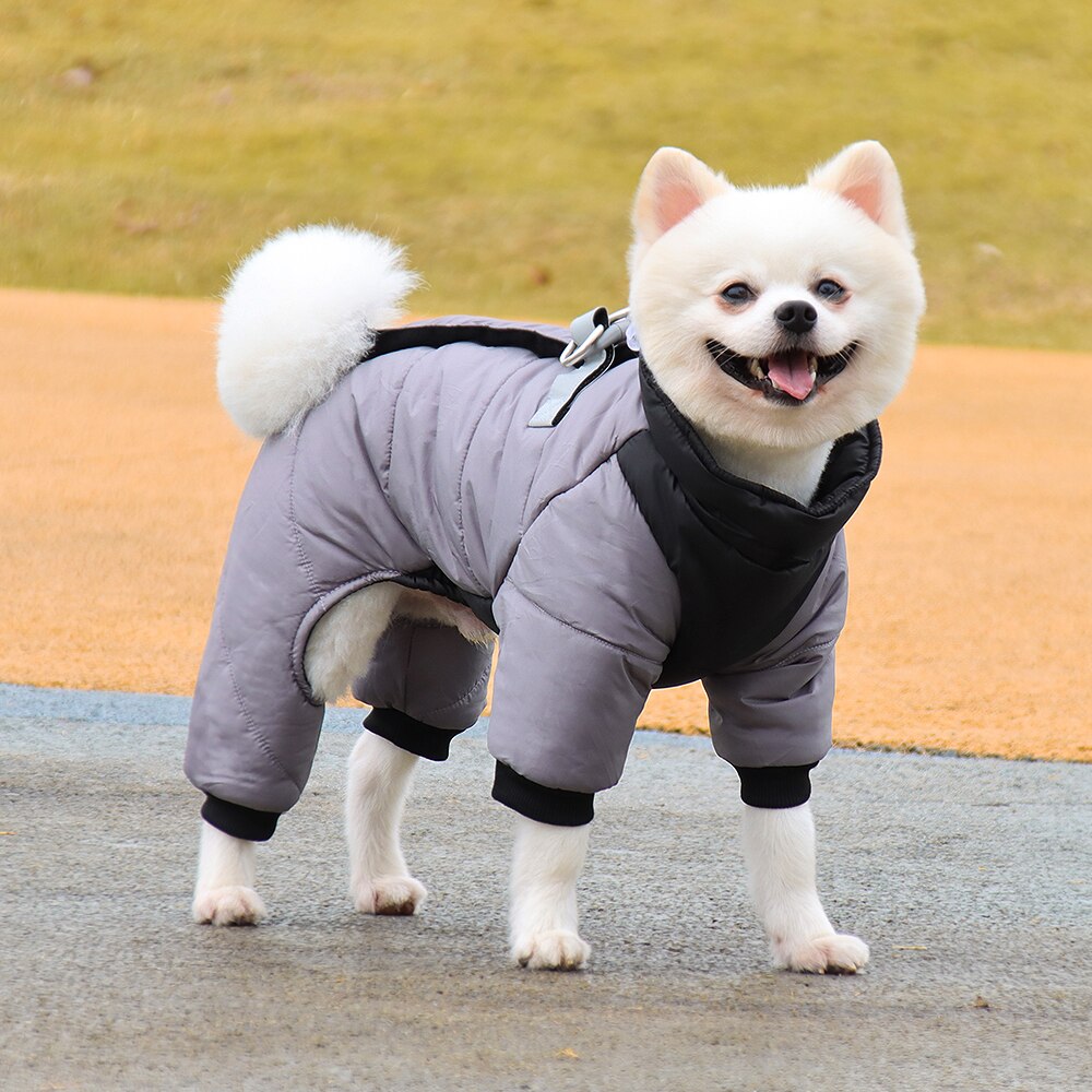 Vêtements réfléchissants d'hiver pour chiens, manteau épais et , avec bretelles, Chihuahua, bouledogue français: GRAY / XXL
