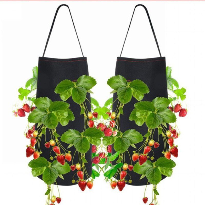 Felt Pins Strawberry Pouch 8/11 Pores Strawberry Potato Hanging Plant Pots Felt Bag