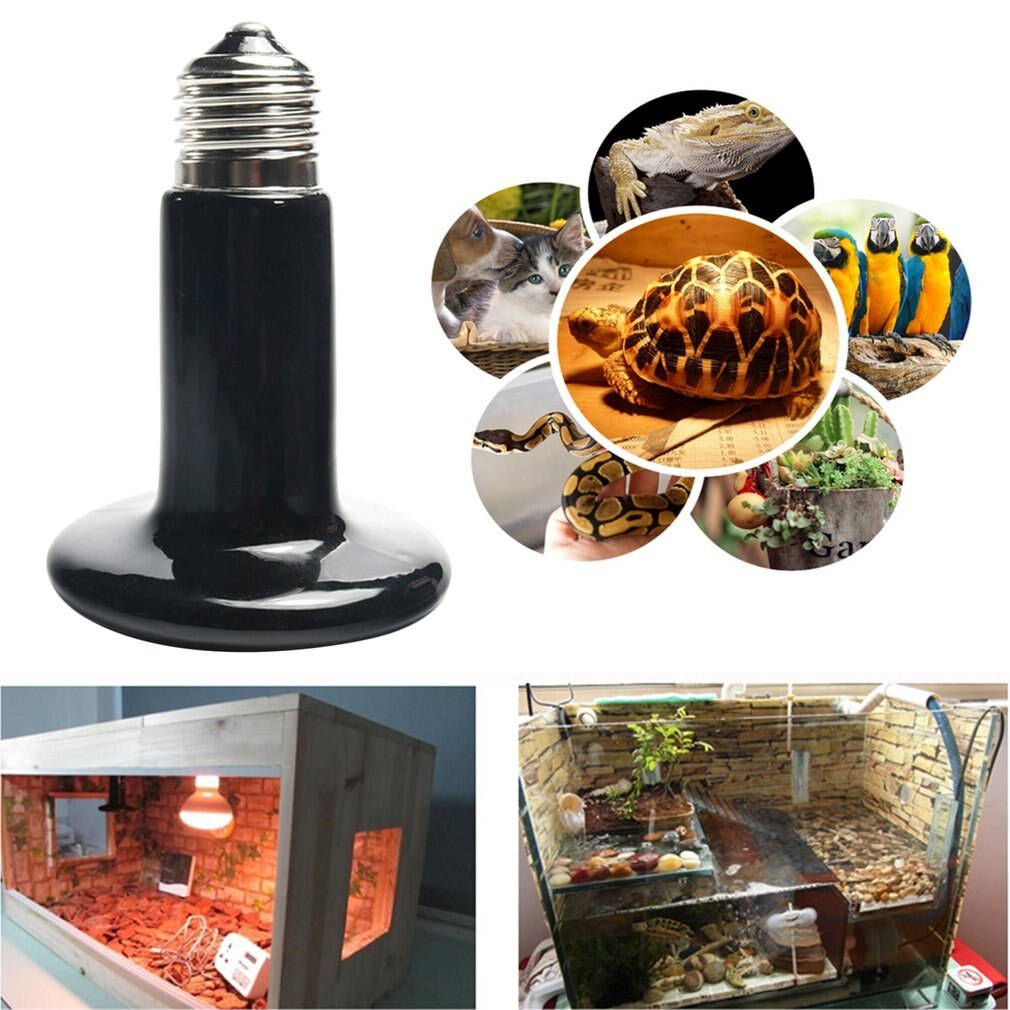 Animal En Céramique Chauffage Lampe 25W 50W 75W 150W 200W IR Émetteur de Chaleur Ampoule 220-240V Tortue Serpent Lézard Lampe Chauffante