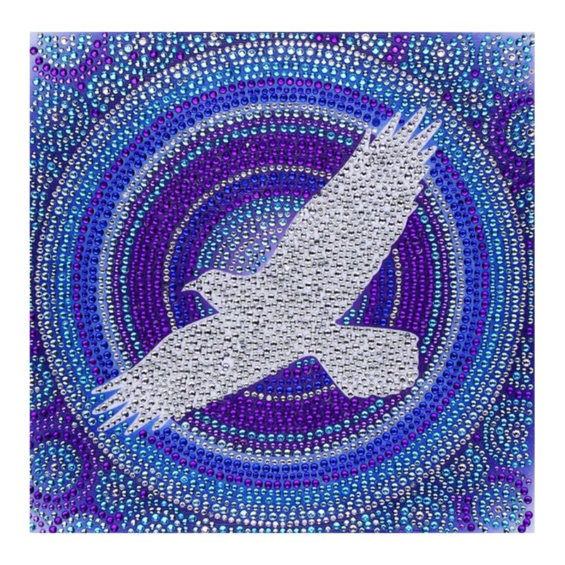 DIY 5D Special Shaped Diamond Painting by Number Kits, Full Drill Rhinestone Embroidery Cross Stitch Pictures for Home Decor: C