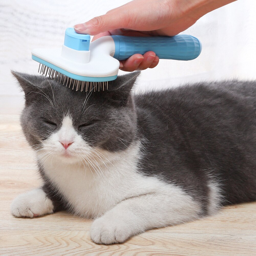 Huisdier Zelfreinigend Slicker Brush Pet Grooming Tool Verwijdert Ondervacht, verlies Matten En Verwarde Haar Kitten Katten Zelf Bruidegom Kam