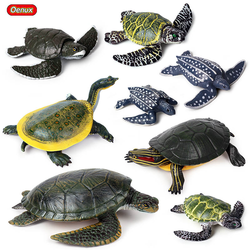 Simulatie Oceaan Dier Zeeschildpad Serie Model Action Figures Collection Miniatuur Cognitie Creativiteit Speelgoed Voor Kinderen