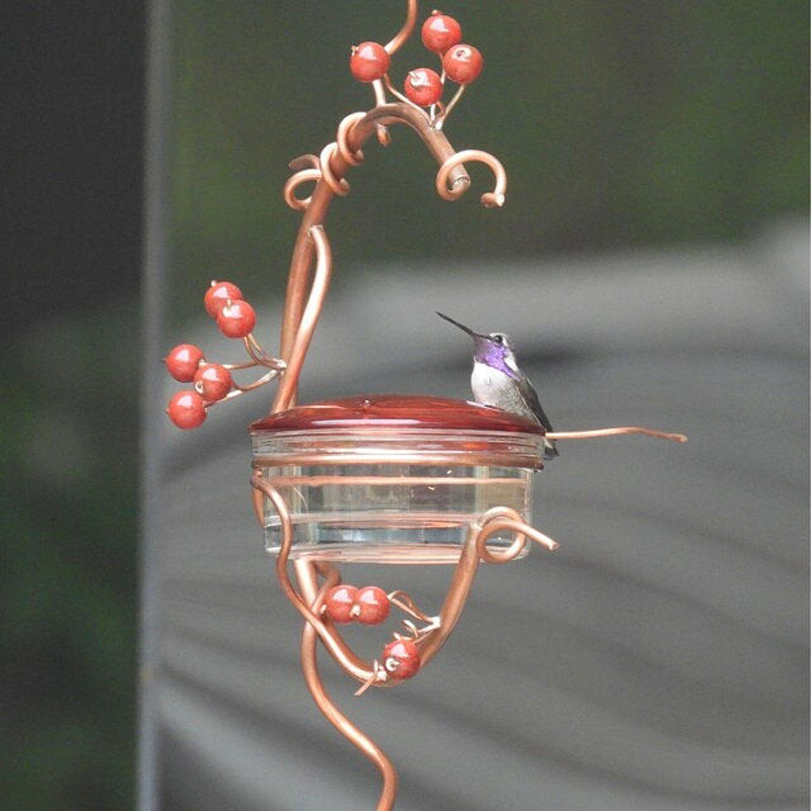 Hummingbird Feeder Garden Courtyard Bird Feeder Courtyard Tree Hanging Red Berries Garden Decoration Outdoor Feed The Birds0